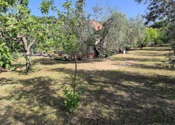 Foto 25 - Villa valle dell oppio
 
3, Fara in Sabina - foto 25