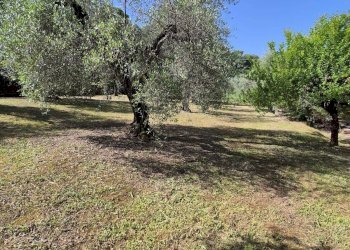 Foto 26 - Villa valle dell oppio
 
3, Fara in Sabina - foto 26