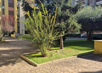 Foto 26 - Quadrilocale Via Federico Seismit Doda
 
16, Roma - foto 26