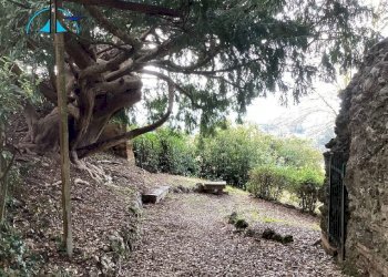 Foto 48 - Locale Commerciale strada del monastero, Siena - foto 48