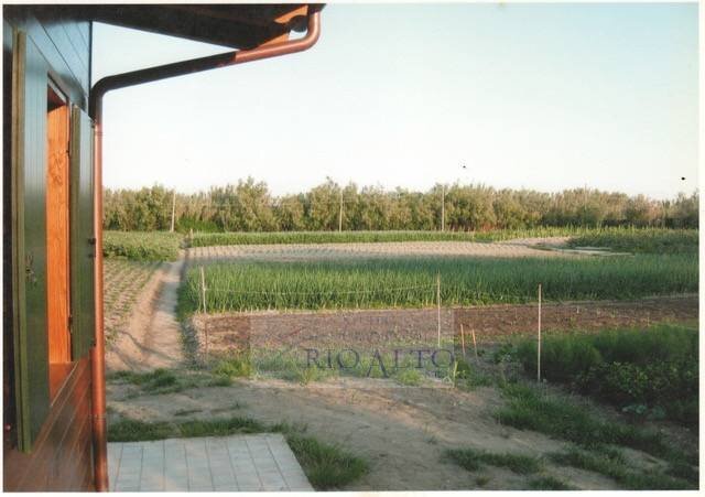 Foto 1 - Terreno agricolo Venezia - foto 1