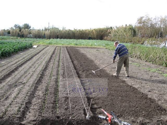 Foto 2 - Terreno agricolo Venezia - foto 2