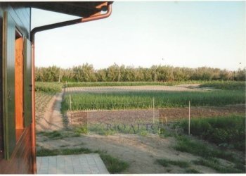 Foto 1 - Agricultural land Venezia - photo 1