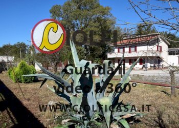 Foto 4 - Casa indipendente San Vittore del Lazio - foto 4