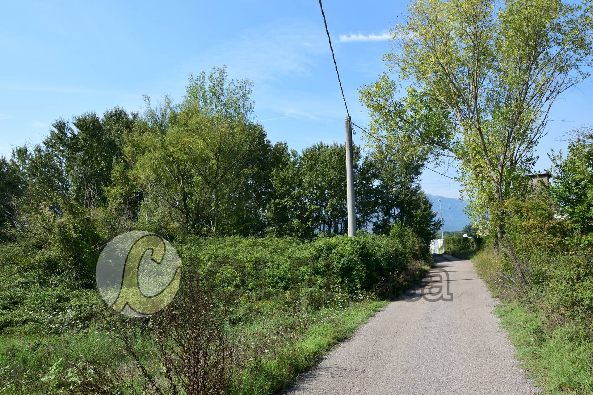 Foto 3 - Terreno edificabile Pignataro Interamna - foto 3