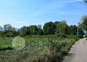 Foto 1 - Terreno edificabile Pignataro Interamna - foto 1