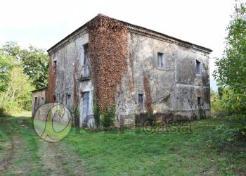 Foto 1 - Casa indipendente Pignataro Interamna - foto 1