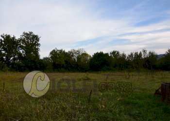 Foto 1 - Terreno edificabile Pignataro Interamna - foto 1