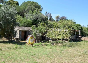 Foto 1 - Locale Commerciale Gaeta - foto 1