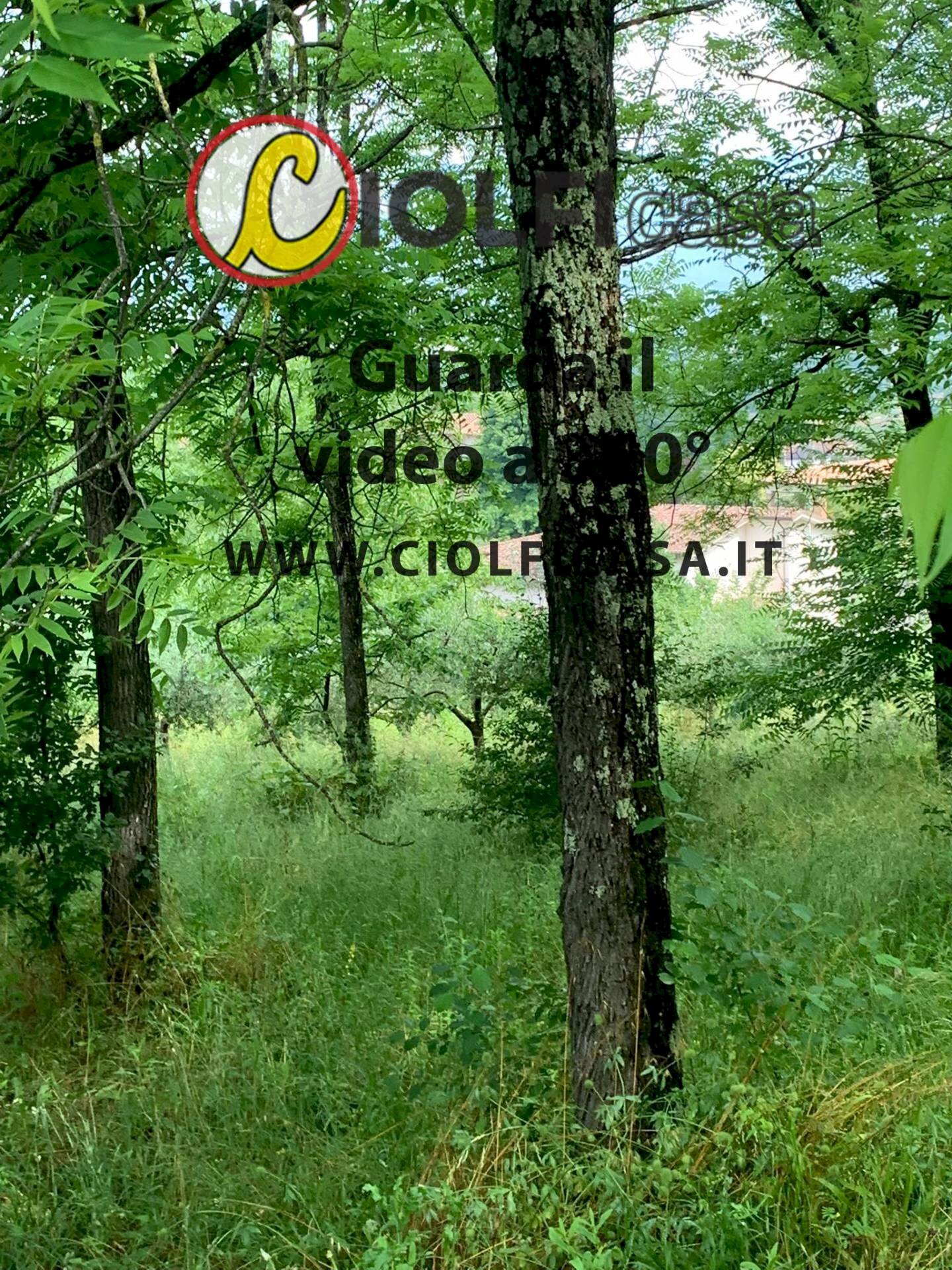 Foto 2 - Agricultural land Cervaro - photo 2