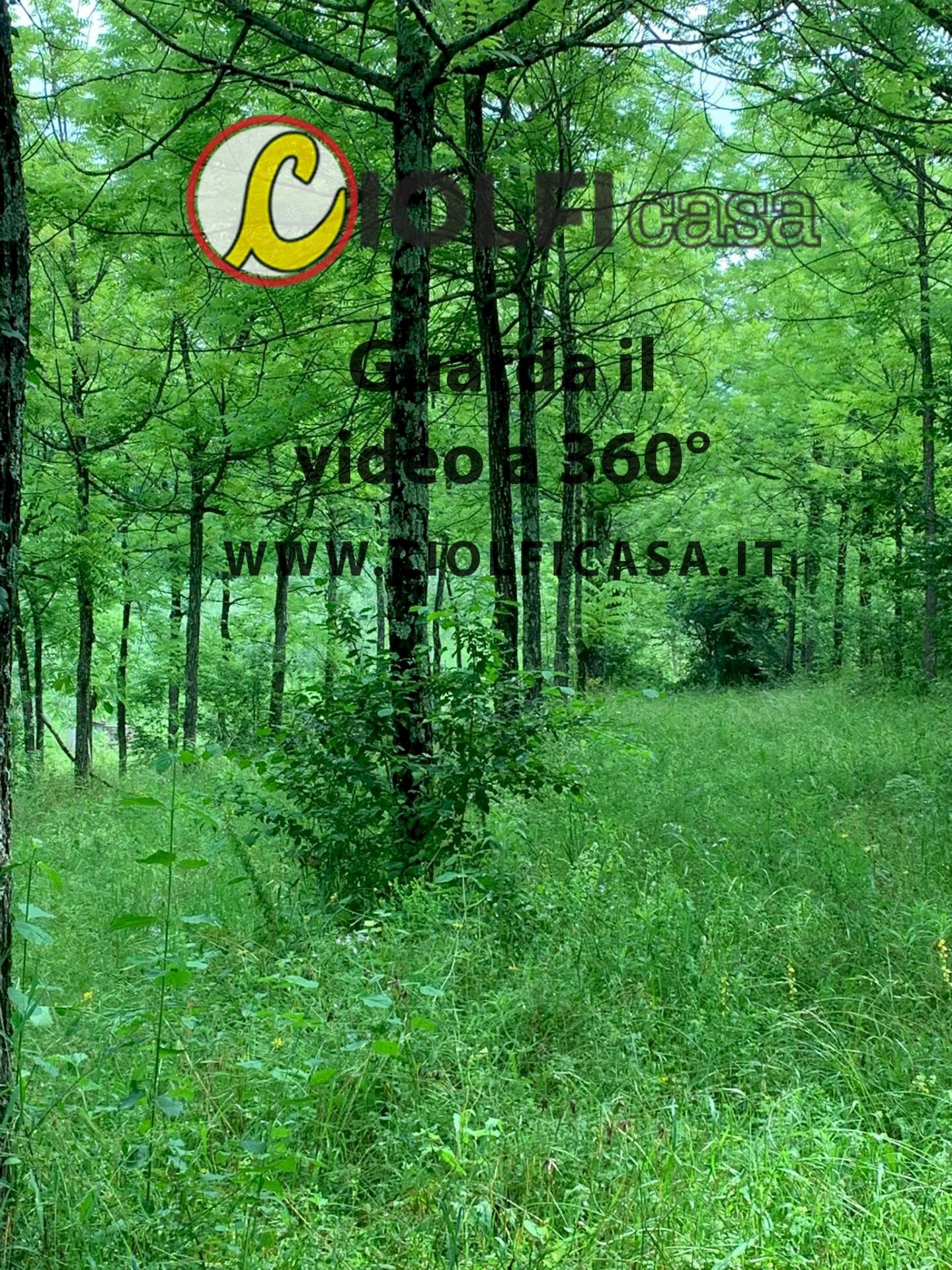 Foto 3 - Agricultural land Cervaro - photo 3