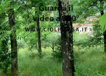 Foto 2 - Agricultural land Cervaro - photo 2