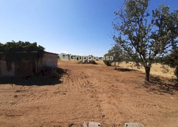 Foto 4 - Terreno edificabile Via Lega Lombarda, Marcallo con Casone - foto 4