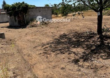 Foto 5 - Terreno edificabile Via Lega Lombarda, Marcallo con Casone - foto 5