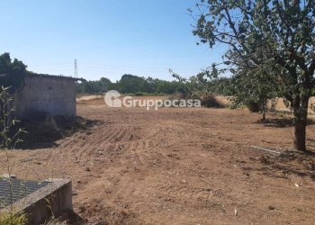 Foto 7 - Terreno edificabile Via Lega Lombarda, Marcallo con Casone - foto 7