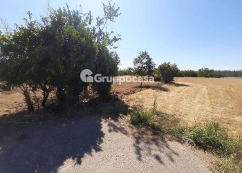 Foto 8 - Terreno edificabile Via Lega Lombarda, Marcallo con Casone - foto 8