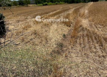 Foto 9 - Terreno edificabile Via Lega Lombarda, Marcallo con Casone - foto 9