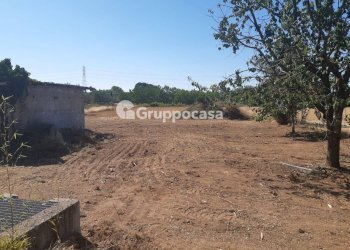 Foto 10 - Terreno edificabile Via Lega Lombarda, Marcallo con Casone - foto 10