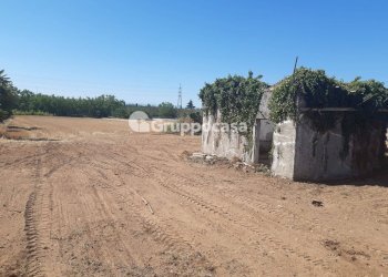 Foto 12 - Terreno edificabile Via Lega Lombarda, Marcallo con Casone - foto 12