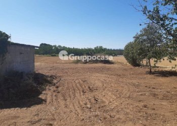 Foto 16 - Terreno edificabile Via Lega Lombarda, Marcallo con Casone - foto 16