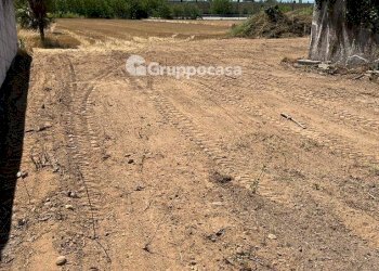 Foto 19 - Terreno edificabile Via Lega Lombarda, Marcallo con Casone - foto 19