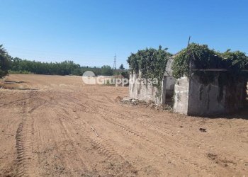 Foto 22 - Terreno edificabile Via Lega Lombarda, Marcallo con Casone - foto 22