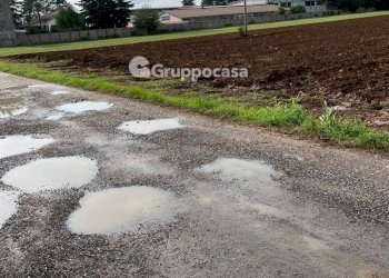 Foto 2 - Terreno agricolo Via Vicinale del Longo, Bernate Ticino - foto 2