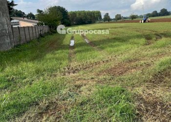 Foto 3 - Terreno agricolo Via Vicinale del Longo, Bernate Ticino - foto 3