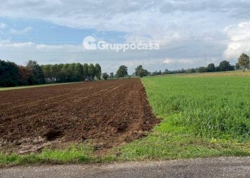 Foto 4 - Terreno agricolo Via Vicinale del Longo, Bernate Ticino - foto 4