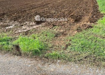Foto 5 - Terreno agricolo Via Vicinale del Longo, Bernate Ticino - foto 5