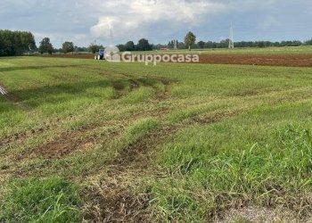 Foto 6 - Terreno agricolo Via Vicinale del Longo, Bernate Ticino - foto 6