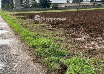 Foto 7 - Terreno agricolo Via Vicinale del Longo, Bernate Ticino - foto 7