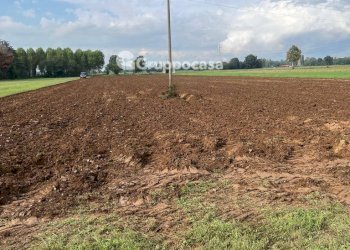 Foto 8 - Terreno agricolo Via Vicinale del Longo, Bernate Ticino - foto 8