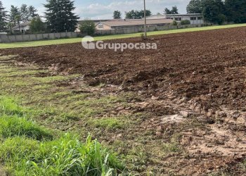 Foto 9 - Terreno agricolo Via Vicinale del Longo, Bernate Ticino - foto 9