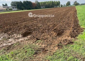 Foto 10 - Terreno agricolo Via Vicinale del Longo, Bernate Ticino - foto 10