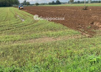 Foto 11 - Terreno agricolo Via Vicinale del Longo, Bernate Ticino - foto 11