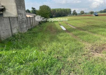 Foto 12 - Terreno agricolo Via Vicinale del Longo, Bernate Ticino - foto 12