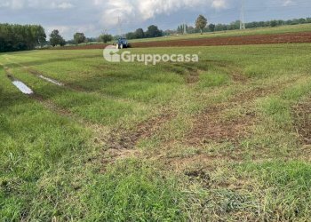 Foto 13 - Terreno agricolo Via Vicinale del Longo, Bernate Ticino - foto 13