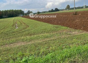 Foto 14 - Terreno agricolo Via Vicinale del Longo, Bernate Ticino - foto 14