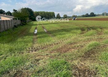 Foto 16 - Terreno agricolo Via Vicinale del Longo, Bernate Ticino - foto 16