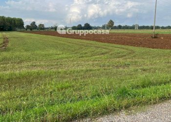 Foto 17 - Terreno agricolo Via Vicinale del Longo, Bernate Ticino - foto 17