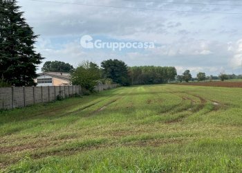 Foto 18 - Terreno agricolo Via Vicinale del Longo, Bernate Ticino - foto 18