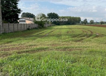 Foto 19 - Terreno agricolo Via Vicinale del Longo, Bernate Ticino - foto 19