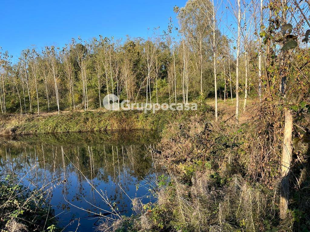 Foto 3 - Terreno agricolo Magenta - foto 2