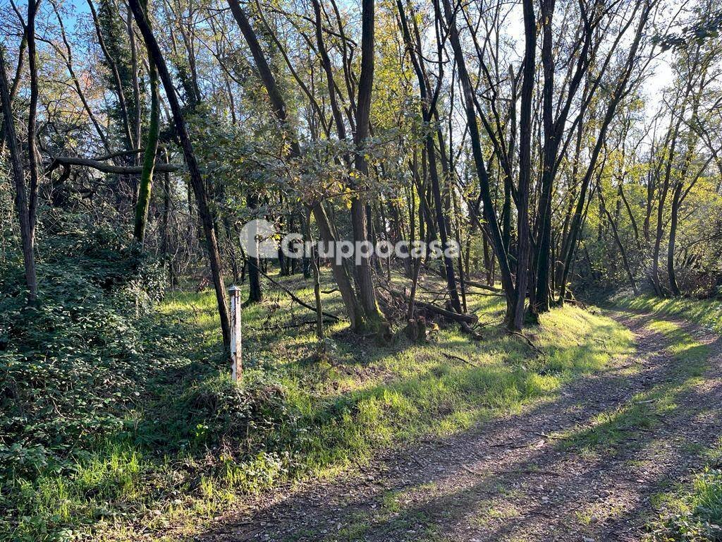 Foto 4 - Terreno agricolo Magenta - foto 3