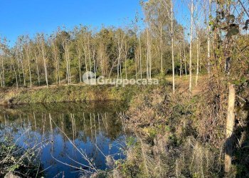 Foto 3 - Terreno agricolo Magenta - foto 2