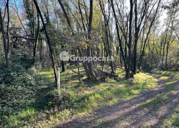 Foto 4 - Terreno agricolo Magenta - foto 3