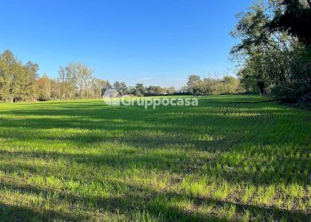 Foto 5 - Terreno agricolo Magenta - foto 4