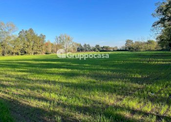 Foto 6 - Terreno agricolo Magenta - foto 5