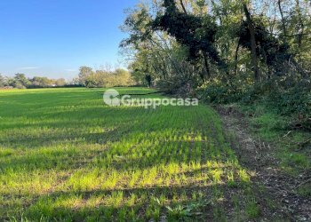 Foto 7 - Terreno agricolo Magenta - foto 6